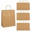Discount 😀 10 1/2" x 5 1/4" x 13" Large Brown Kraft Paper Gift Bags - 12 Pc. ✔️ -Outlet Containers Store 10 1 2 x 5 1 4 x 13 large brown kraft paper gift bags 12 pc 48 632